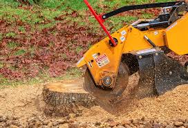 Tree and Shrub Care in Kings Mills, OH